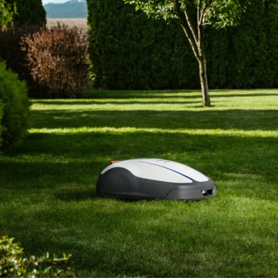 Honda Miimo HRM 1000 robotic lawn mower maintaining a healthy lawn in a landscaped garden, providing automatic grass cutting with a neat finish.