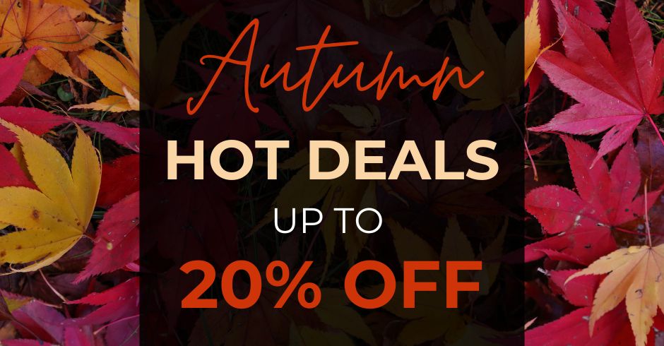 Hot Deals Autumn Mobile Header