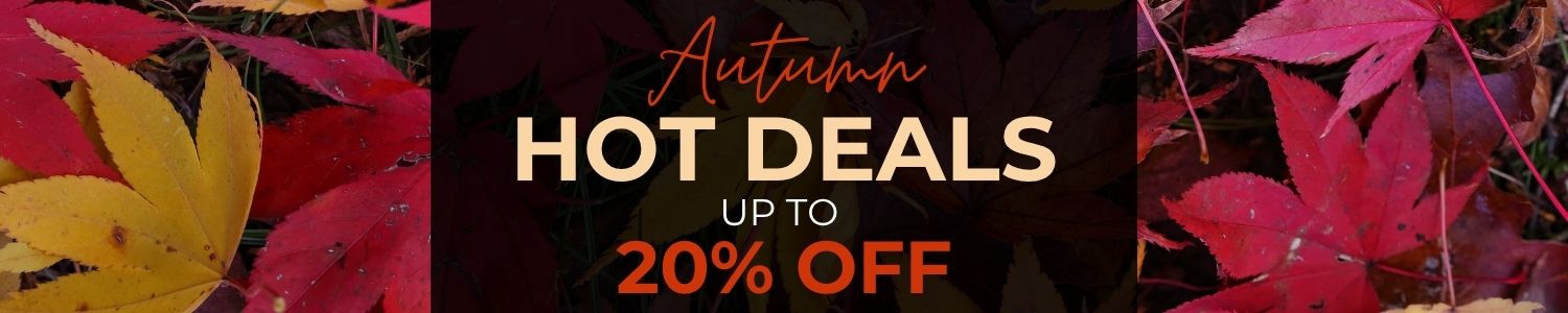 Hot Deals Page Header for Autumn