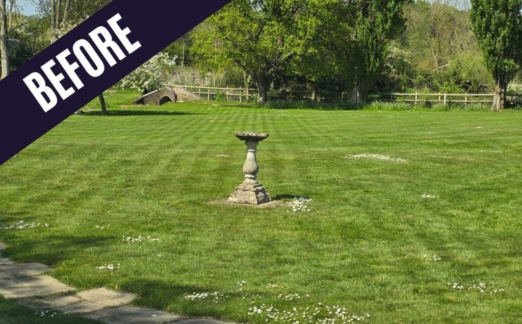 Lawn Before Robotic Mower