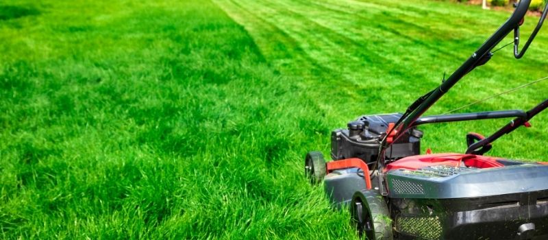 Tips for a Tidy Summer Lawn