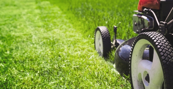 Tackling long grass after no mow May