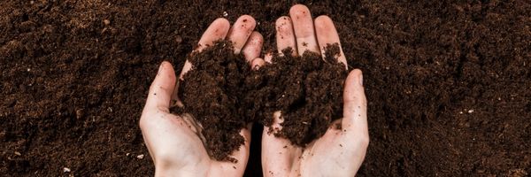 Soil in Hands