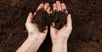 Get your Lawn Ready for Autumn Winter