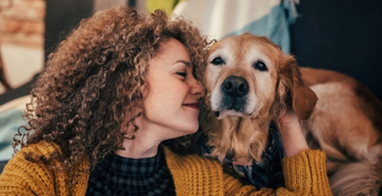 How to Keep Pets Safe and Calm on Fireworks Night