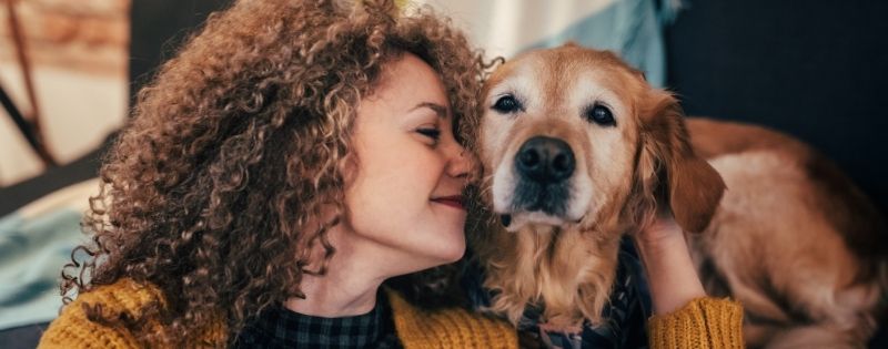 Owner Reassuring Dog
