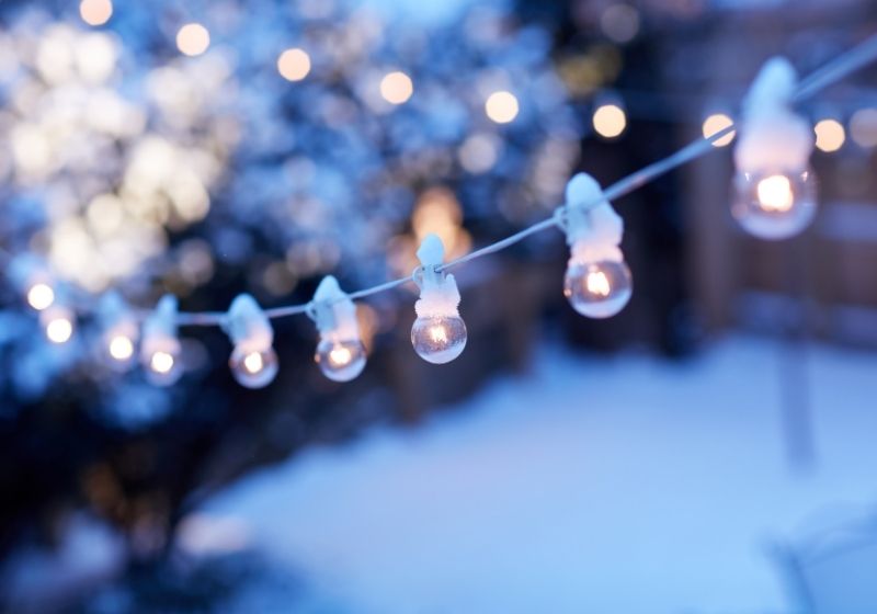 Winter Garden Lighting