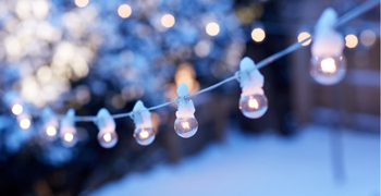 Make the Most of your Garden over Winter