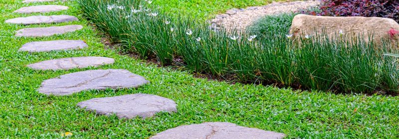 Avoid Walking on Waterlogged Grass