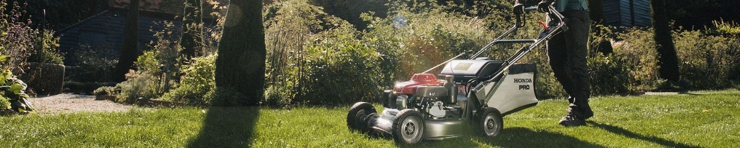 Spring lawn care tasks including overseeding, no mow may, and regular mowing for healthy grass