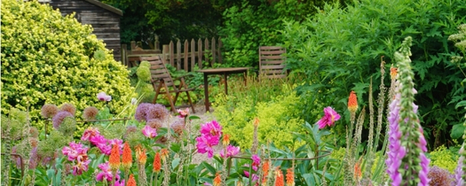 Overgrown Garden