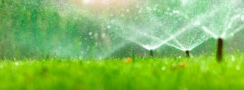 Lawn with sprinklers
