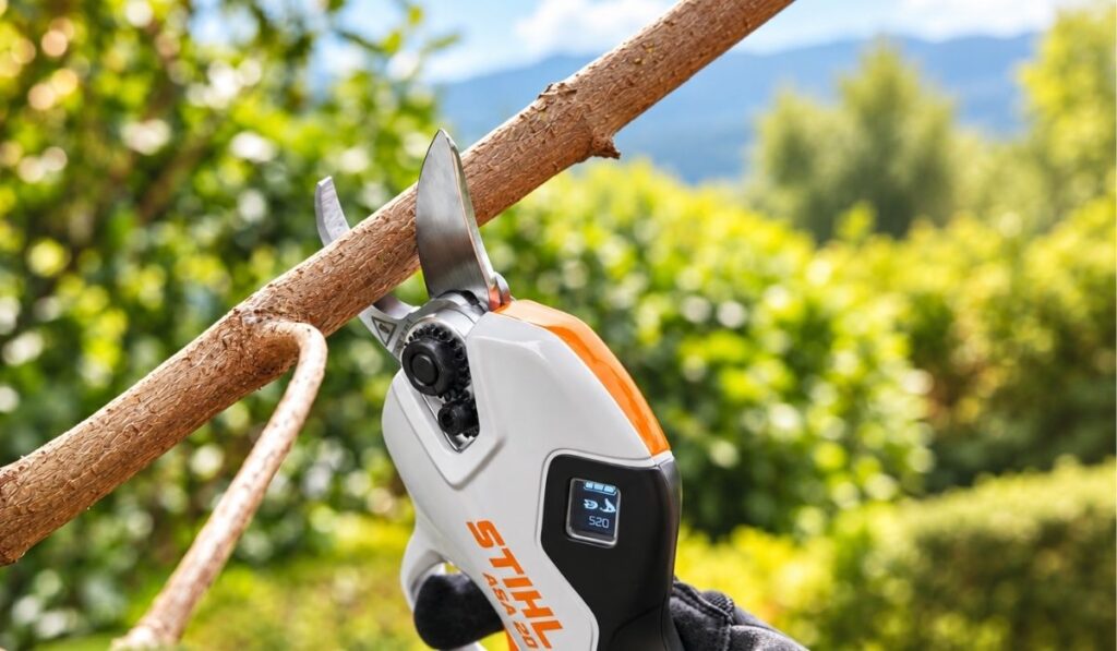 STIHL ASA 20 cordless pruning shears cutting a tree branch in a garden, ideal for autumn pruning and garden maintenance.